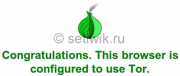 Tor onion site