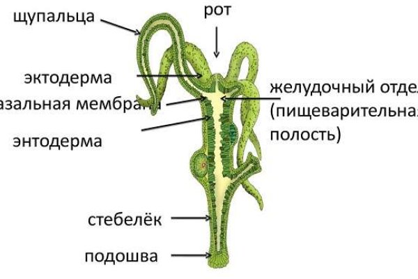 Кракен магазин kr2web in тор