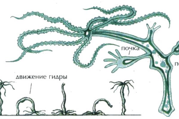 Кракен не приходят деньги