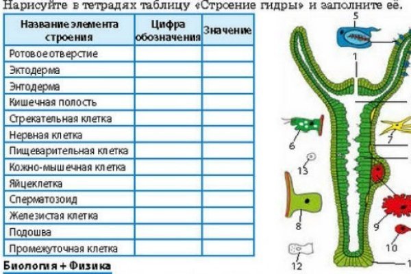 Ссылки кракен 2024